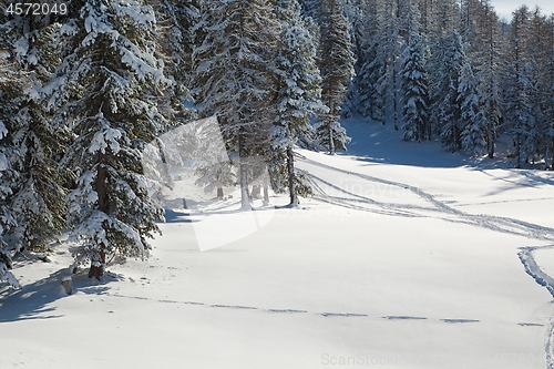 Image of Winter Snowy Mountain Landscape