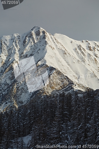 Image of Mountains in the Alps