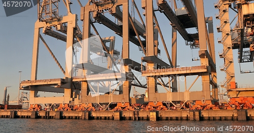 Image of Cranes in the container terminal in Rotterdam