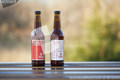 Image of Beer bottles on a table