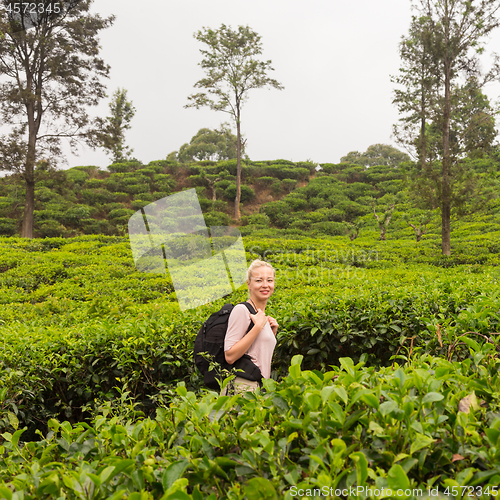 Image of Active caucasian blonde woman enjoing fresh air and pristine nature while tracking among tea plantaitons near Ella, Sri Lanka. Bacpecking outdoors tourist adventure