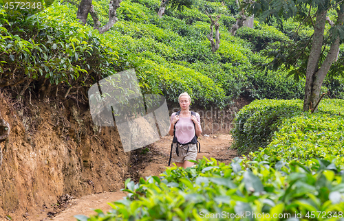 Image of Active caucasian blonde woman enjoing fresh air and pristine nature while tracking among tea plantaitons near Ella, Sri Lanka. Bacpecking outdoors tourist adventure