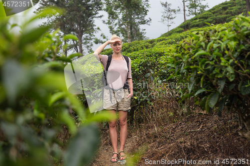 Image of Active caucasian blonde woman enjoing fresh air and pristine nature while tracking among tea plantaitons near Ella, Sri Lanka. Bacpecking outdoors tourist adventure