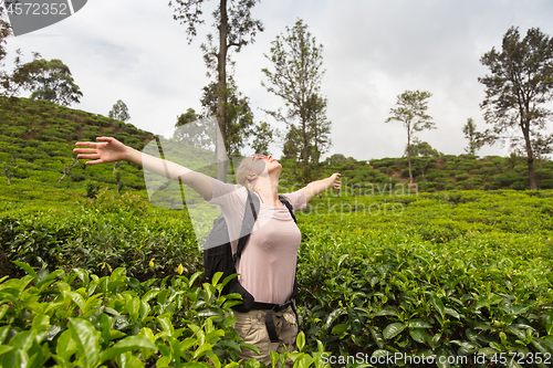 Image of Active caucasian blonde woman enjoing fresh air and pristine nature while tracking among tea plantaitons near Ella, Sri Lanka. Bacpecking outdoors tourist adventure