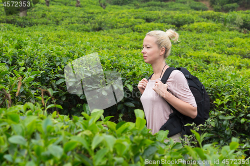 Image of Active caucasian blonde woman enjoing fresh air and pristine nature while tracking among tea plantaitons near Ella, Sri Lanka. Bacpecking outdoors tourist adventure