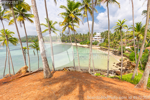 Image of Tropical beach with exotic palm trees and wooden boats on the sand in Mirissa, Sri Lanka
