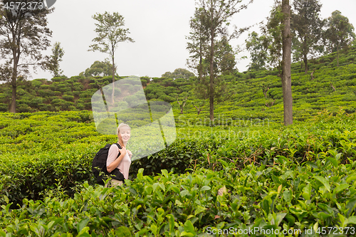 Image of Active caucasian blonde woman enjoing fresh air and pristine nature while tracking among tea plantaitons near Ella, Sri Lanka. Bacpecking outdoors tourist adventure