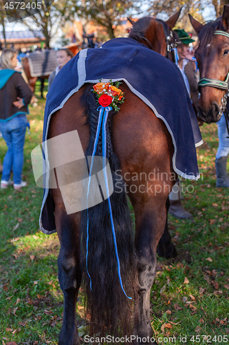 Image of Warngau, Germany, Bavaria 27.10.2019: Rider at the Leonhardifahrt Warngau