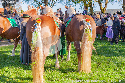 Image of Warngau, Germany, Bavaria 27.10.2019: Rider at the Leonhardifahrt Warngau