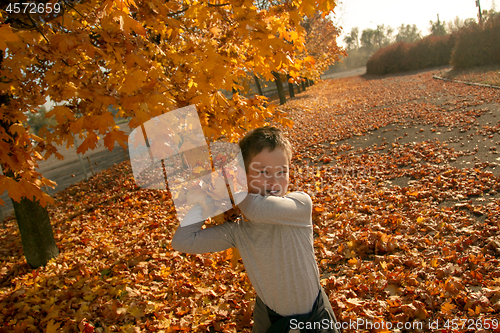 Image of Boy in Autumn Park