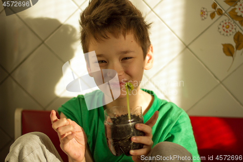 Image of Boy with chickenpox grow plant