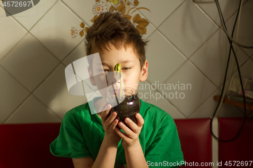Image of Boy with chickenpox grow plant