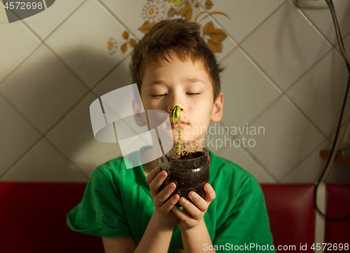 Image of Boy with chickenpox grow plant