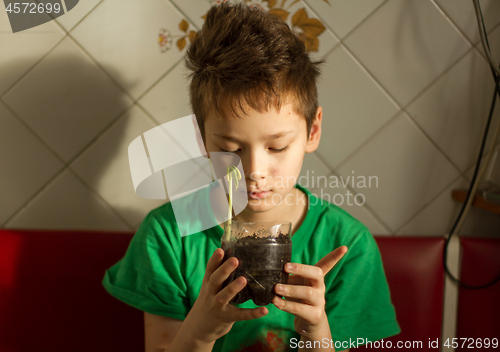 Image of Boy with chickenpox grow plant