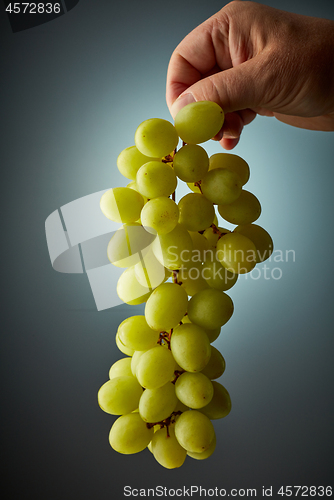 Image of bunch of grapes