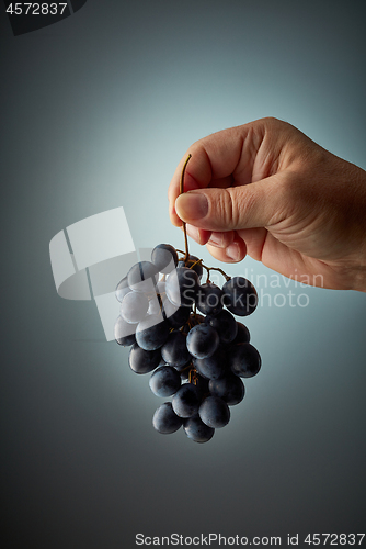 Image of bunch of grapes