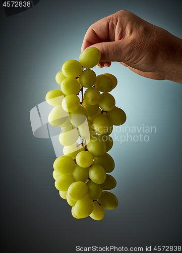 Image of bunch of grapes