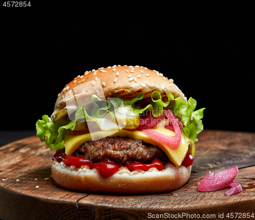 Image of fresh tasty burger