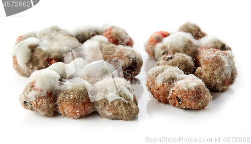 Image of raspberries with mold