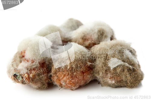 Image of raspberries with mold