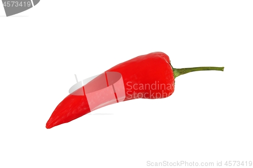 Image of Chili pepper on white