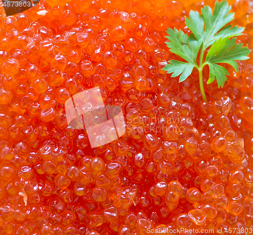 Image of red salmon caviar