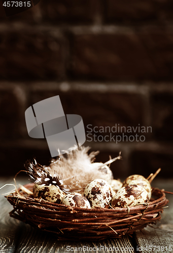 Image of quail eggs