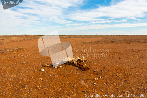 Image of Drought in Australia