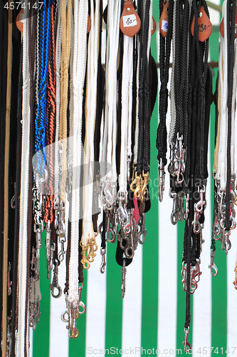 Image of dog leash collection