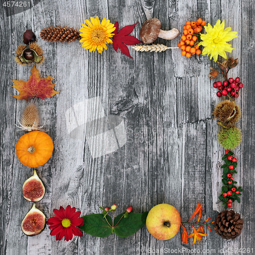 Image of Autumn Border Composition