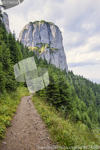 Image of Beautiful hiking trail after rain