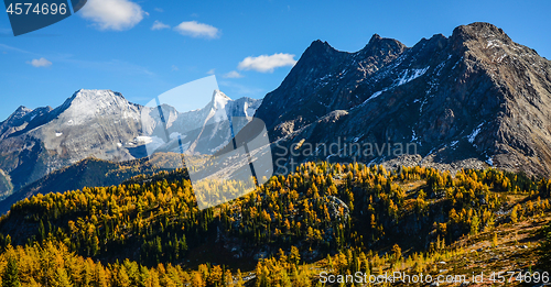 Image of Jumbo Pass British Columbia Canada in Fall with Larch