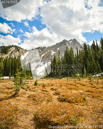 Image of Bumpy Meadows Mount Aeneas British Columbia