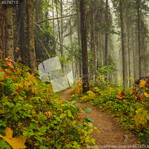 Image of Hiking Trail Kootenay National Park Canada