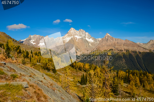 Image of Fall Larch Jumbo Pass Purcell Mountains