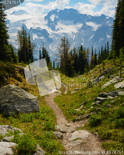 Image of Jumbo Pass hiking trail, British Columbia, Canada