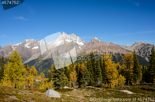 Image of Jumbo Pass British Columbia Canada in Fall with Larch