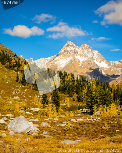 Image of Fall Larch Mountain Landscape