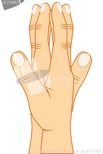 Image of Vector illustration of the hands of the person with built palm gesture