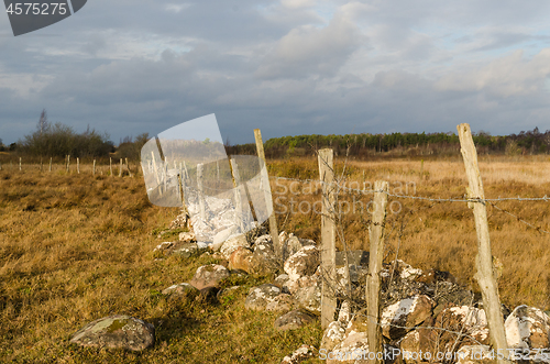 Image of Old fence with barb wire in a wetland by fall season