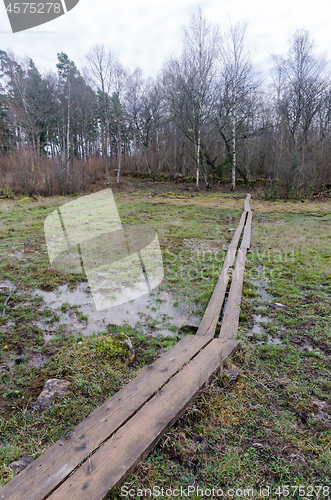 Image of Wooden footbridge through a wetland