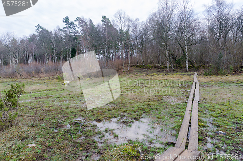 Image of Planks by the walkway through a wetland