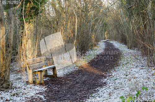 Image of Bench by a footpath in a forest with the first snow