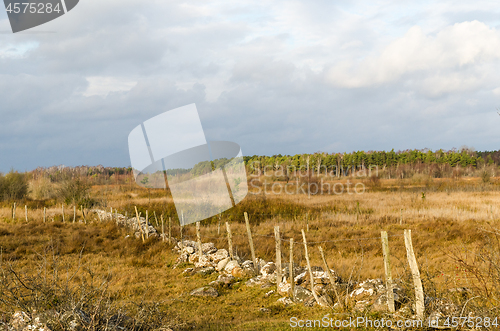 Image of Fall season view of a marshland