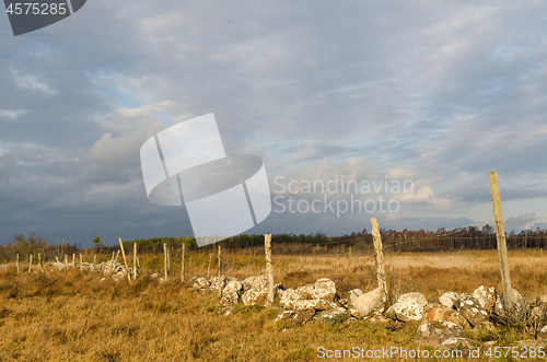 Image of Old fence in a wetland by fall season