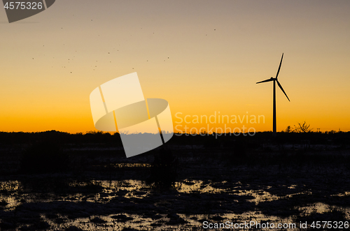 Image of Sunset with wind turbine and flying birds