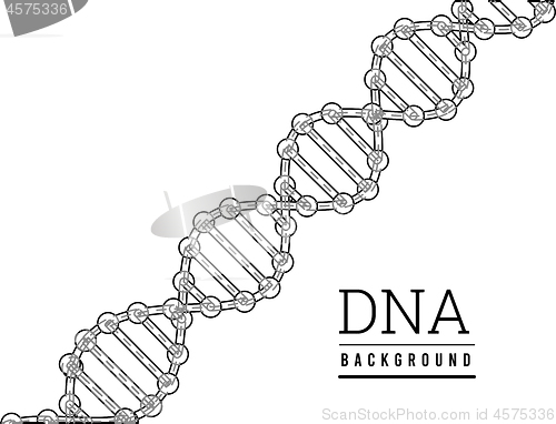 Image of DNA structure. Deoxyribonucleic acid. Vector illustration on white