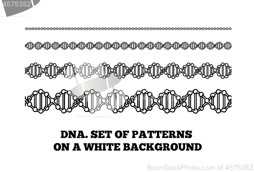 Image of DNA structure. Deoxyribonucleic acid. Vector illustration on white