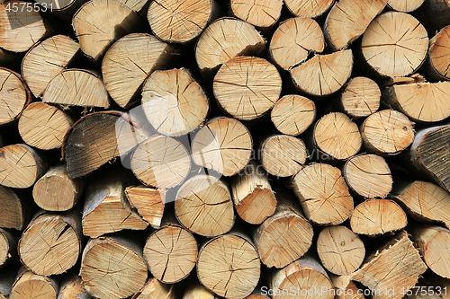 Image of Firewood pile stacked chopped wood trunks