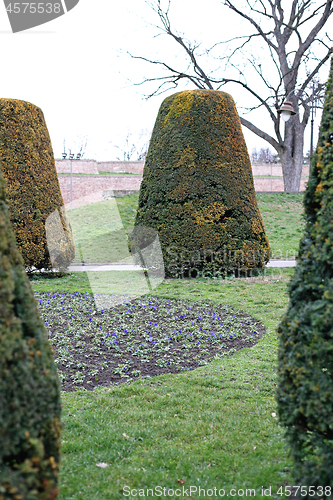 Image of Park at Winter
